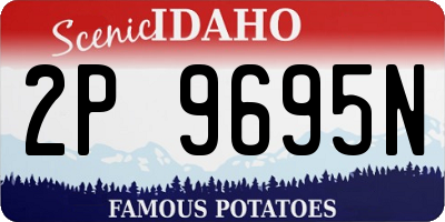 ID license plate 2P9695N