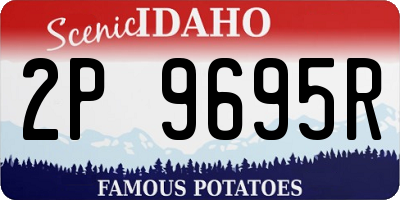 ID license plate 2P9695R