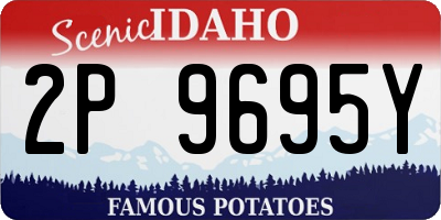 ID license plate 2P9695Y
