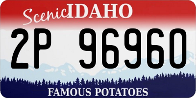 ID license plate 2P9696O