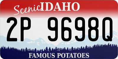 ID license plate 2P9698Q