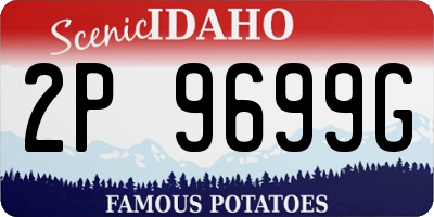 ID license plate 2P9699G