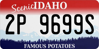 ID license plate 2P9699S