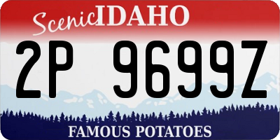 ID license plate 2P9699Z