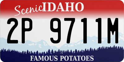 ID license plate 2P9711M