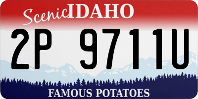ID license plate 2P9711U