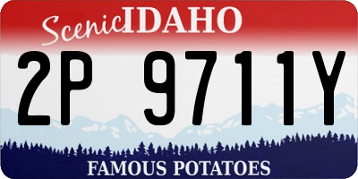 ID license plate 2P9711Y