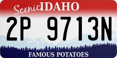 ID license plate 2P9713N