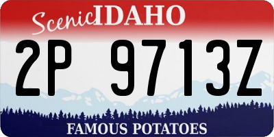 ID license plate 2P9713Z