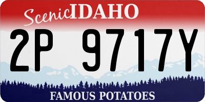 ID license plate 2P9717Y