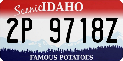 ID license plate 2P9718Z