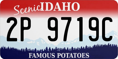 ID license plate 2P9719C