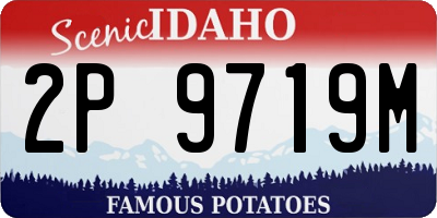 ID license plate 2P9719M