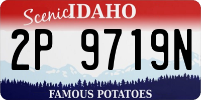 ID license plate 2P9719N