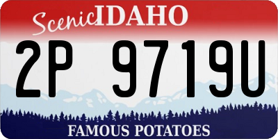 ID license plate 2P9719U