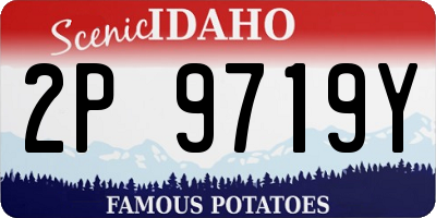 ID license plate 2P9719Y