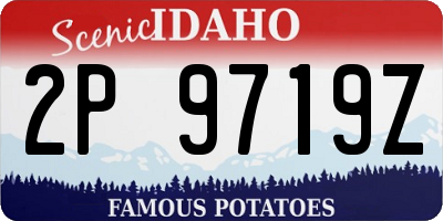 ID license plate 2P9719Z