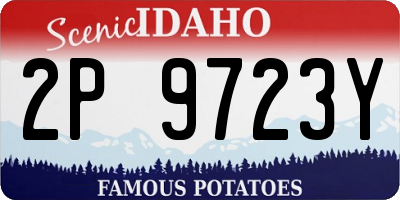 ID license plate 2P9723Y