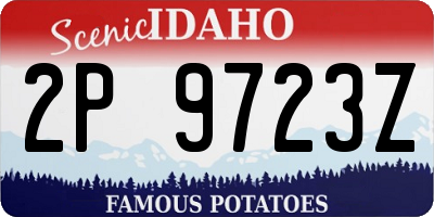 ID license plate 2P9723Z