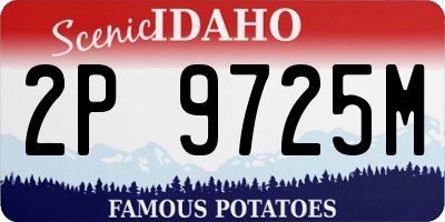 ID license plate 2P9725M
