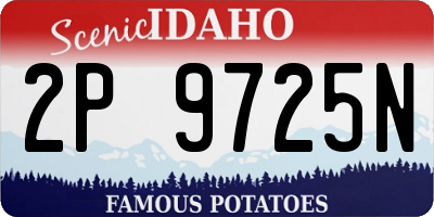 ID license plate 2P9725N