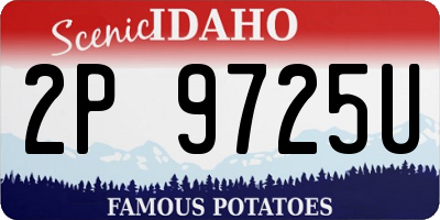 ID license plate 2P9725U