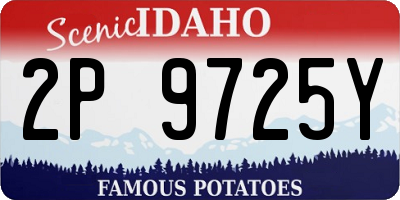 ID license plate 2P9725Y