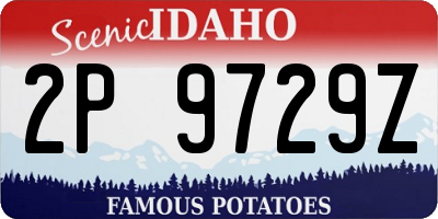 ID license plate 2P9729Z