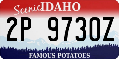 ID license plate 2P9730Z