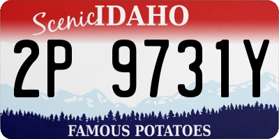 ID license plate 2P9731Y