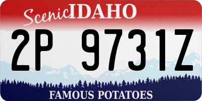 ID license plate 2P9731Z