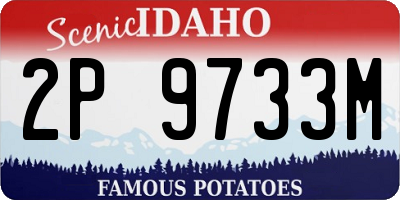 ID license plate 2P9733M