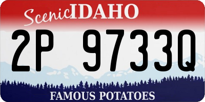 ID license plate 2P9733Q