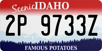 ID license plate 2P9733Z