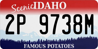 ID license plate 2P9738M