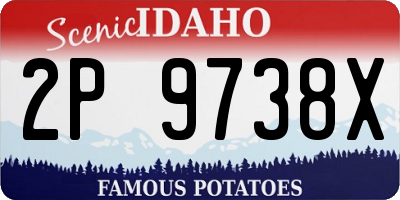 ID license plate 2P9738X