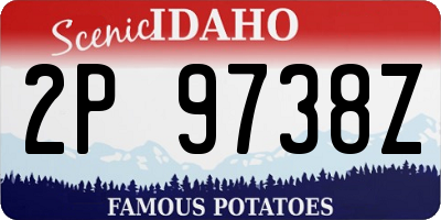 ID license plate 2P9738Z