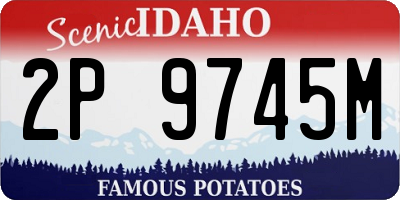 ID license plate 2P9745M