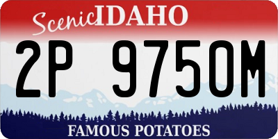 ID license plate 2P9750M