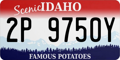 ID license plate 2P9750Y