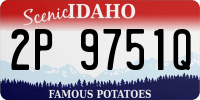ID license plate 2P9751Q