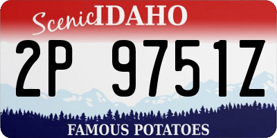 ID license plate 2P9751Z