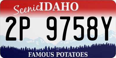 ID license plate 2P9758Y
