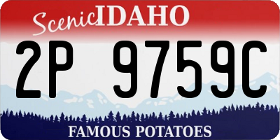ID license plate 2P9759C