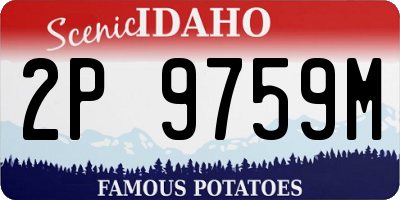 ID license plate 2P9759M