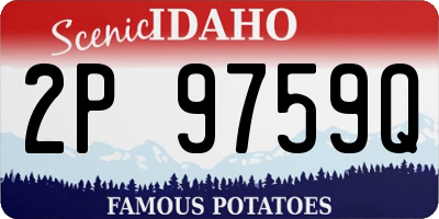 ID license plate 2P9759Q