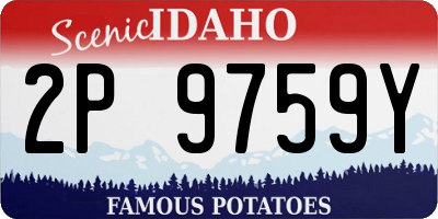 ID license plate 2P9759Y