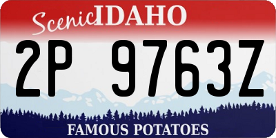 ID license plate 2P9763Z