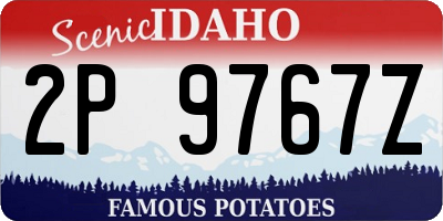 ID license plate 2P9767Z