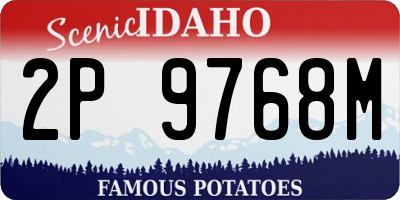 ID license plate 2P9768M
